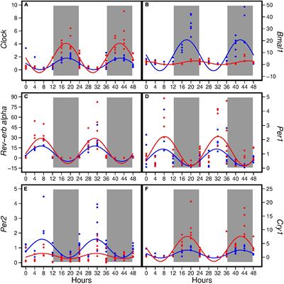 Consumption of a high-fat diet alters transcriptional rhythmicity in liver from pubertal mice